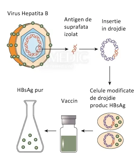 Mii de bolnavi de hepatită așteaptă vaccinul hepatic