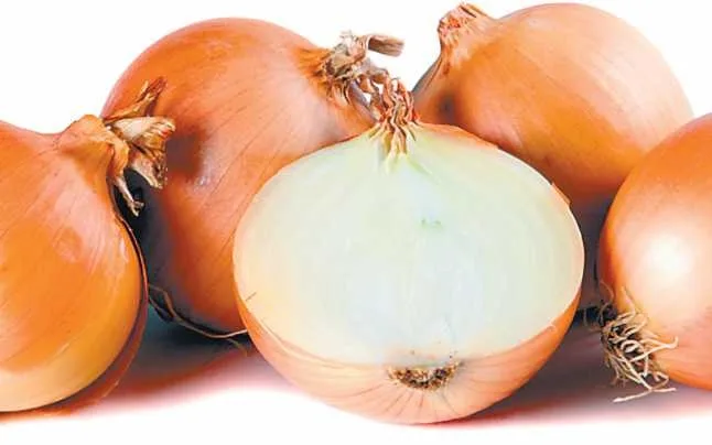 Eterna, banala ceapă şi efectele ei asupra omului