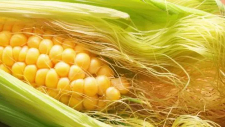 Ceaiul din mătase de porumb