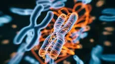 O genă ţintă în cancer