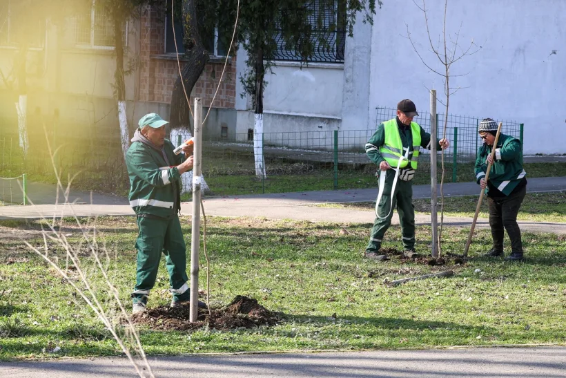 Plantări de primăvară în Galați